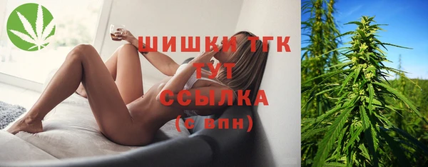 стаф Протвино