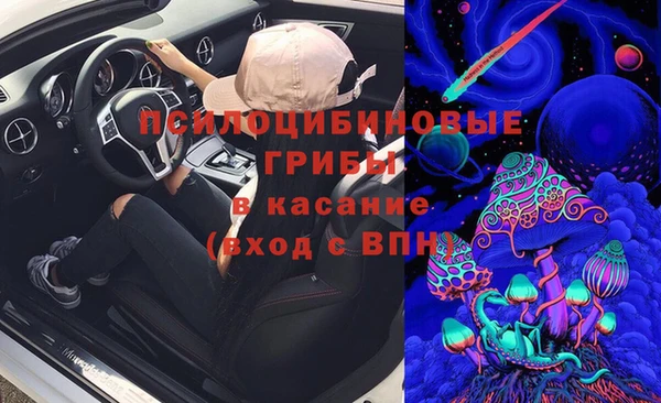 соль ск Пролетарск