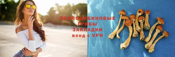 соль ск Пролетарск