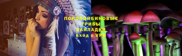 стаф Протвино