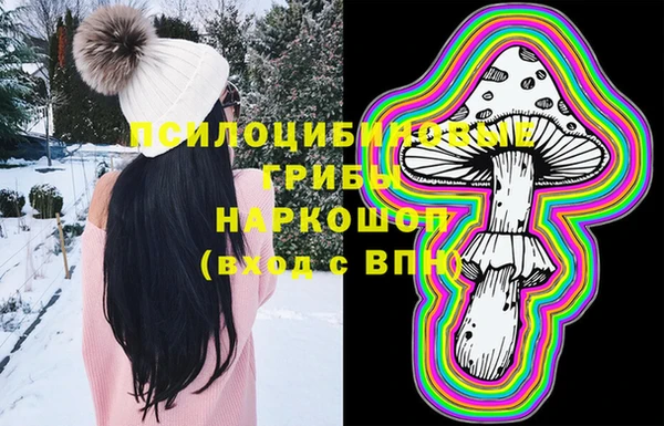 соль ск Пролетарск