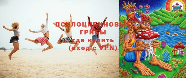 соль ск Пролетарск