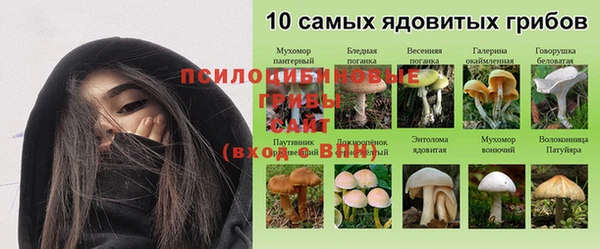 твердый Приозерск