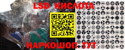 прущие грибы Донской