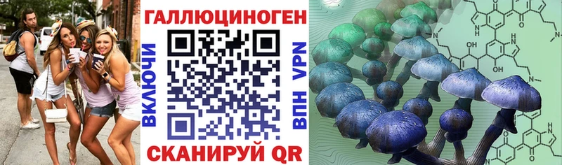 Псилоцибиновые грибы прущие грибы  даркнет как зайти  Кореновск 