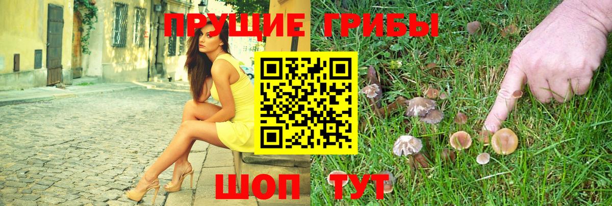 Кореновск  Псилоцибиновые грибы прущие грибы  Вход с VPN  Псилоцибиновые грибы Cubensis 
