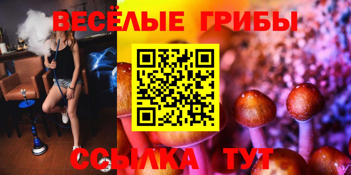 Галлюциногенные грибы прущие грибы Кореновск