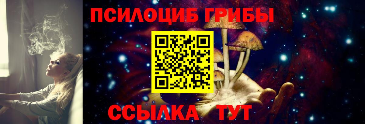 Псилоцибиновые грибы мицелий  Псилоцибиновые грибы MAGIC MUSHROOMS  Кореновск 
